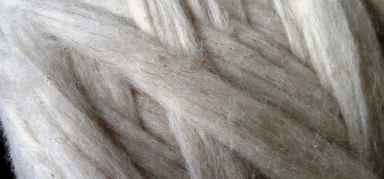 Ecosustainability and textile